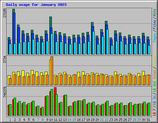 Daily usage for January 2023
