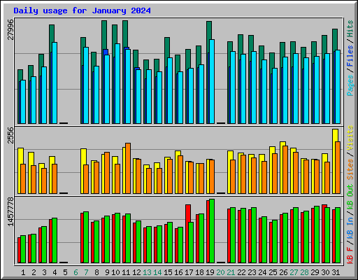 Daily usage for January 2024