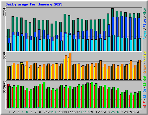 Daily usage for January 2025