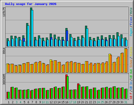 Daily usage for January 2026