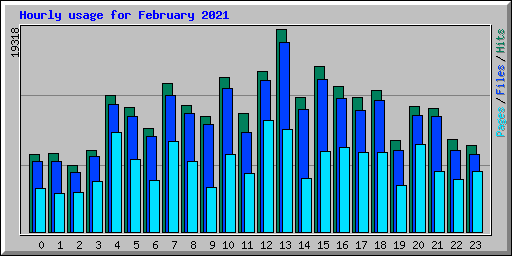 Hourly usage for February 2021