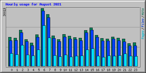 Hourly usage for August 2021