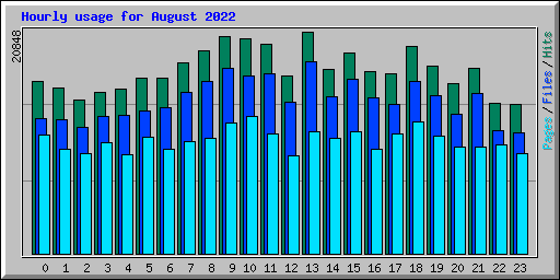 Hourly usage for August 2022