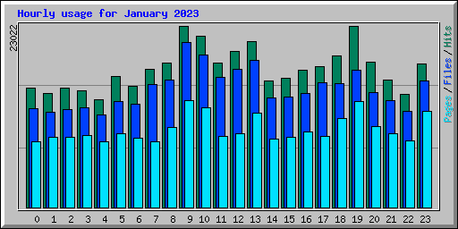 Hourly usage for January 2023