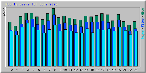 Hourly usage for June 2023