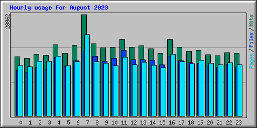 Hourly usage for August 2023