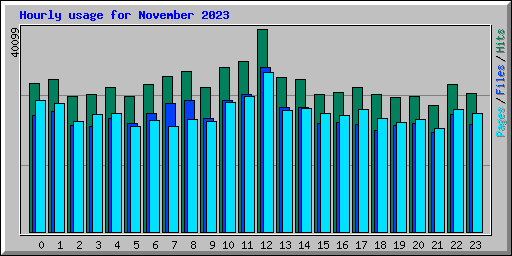 Hourly usage for November 2023