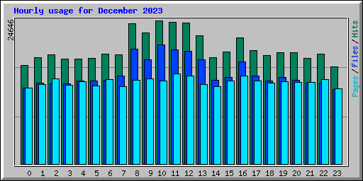 Hourly usage for December 2023