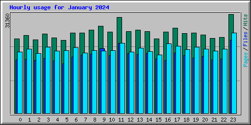 Hourly usage for January 2024