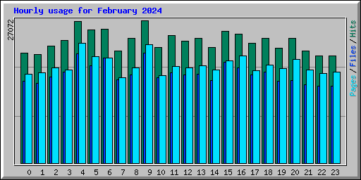 Hourly usage for February 2024