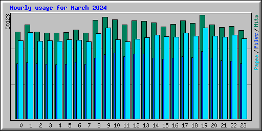 Hourly usage for March 2024