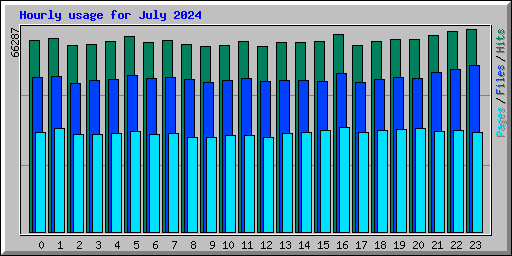 Hourly usage for July 2024