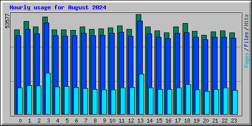 Hourly usage for August 2024