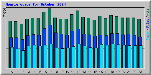 Hourly usage for October 2024