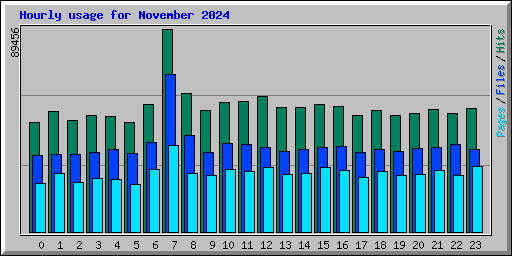 Hourly usage for November 2024