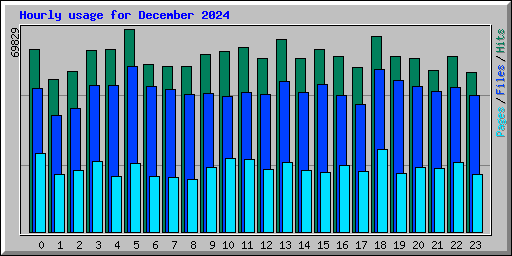 Hourly usage for December 2024
