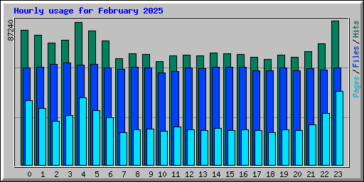 Hourly usage for February 2025