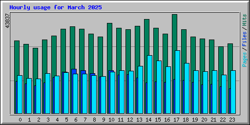 Hourly usage for March 2025