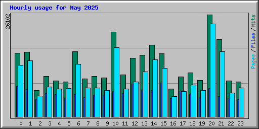 Hourly usage for May 2025