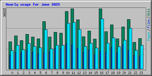 Hourly usage for June 2025