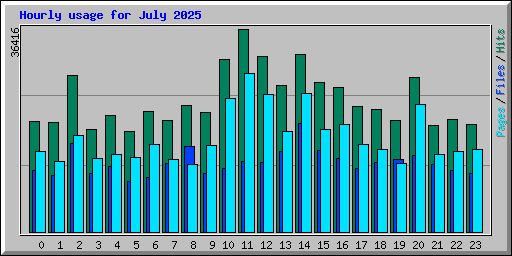 Hourly usage for July 2025