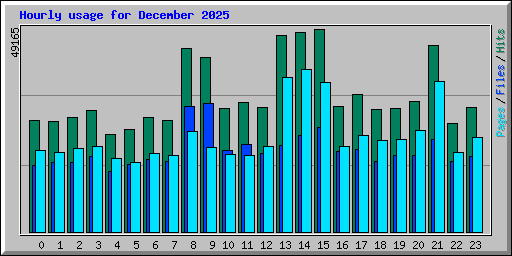Hourly usage for December 2025