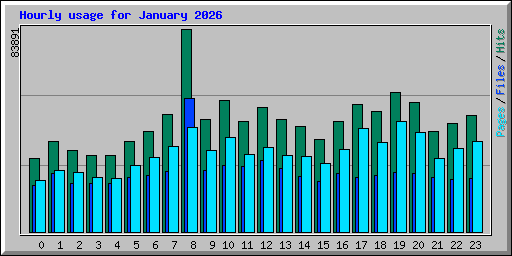 Hourly usage for January 2026