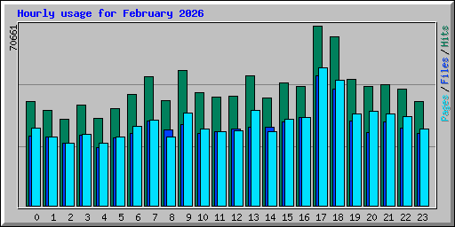 Hourly usage for February 2026