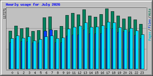 Hourly usage for July 2026