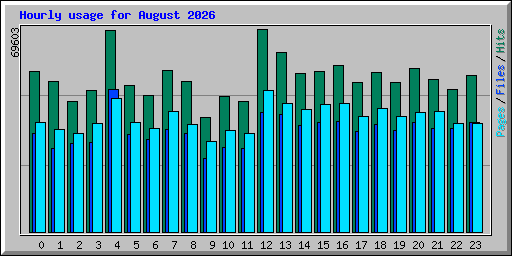 Hourly usage for August 2026