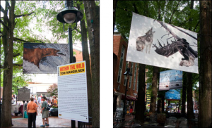 (left) Within the Wild. Share a meal with a grizzly bear. Courtesy, © Susan Katz 2009, (right) An image of howling wolves by Tom Mangelsen hang above a sidewalk café, as part of The TREES exhibit, Within the Wild. Courtesy, © Susan Katz 2009