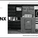 “Bronx Life” with David Gonzalez