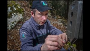 Laurent Geslin – The European Lynx – WildSpeak Presentation 2016
