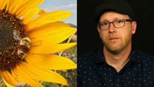 Clay Bolt & The Rusty-Patched Bumble Bee