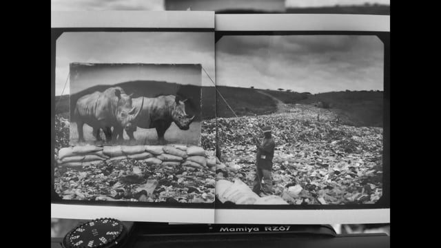 Nick Brandt LOOK3 2016 Artist Talk