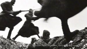 Anne Wilkes Tucker: WAR/PHOTOGRAPHY