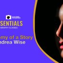 The Essentials: The Anatomy of a Story by Andrea Wise