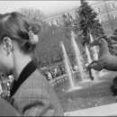 Black Garden Trilogy by Jason Eskenazi