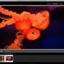 Digital Silver Imaging Technical Webinar Series: Calibration