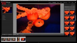 Digital Silver Imaging Technical Webinar Series: Calibration