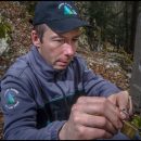 Laurent Geslin – The European Lynx – WildSpeak Presentation 2016