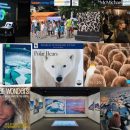 Daisy Gilardini – Polar Wonders – WildSpeak Presentation 2016