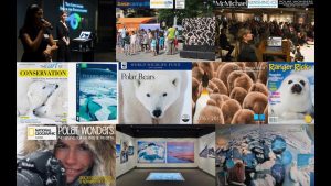 Daisy Gilardini – Polar Wonders – WildSpeak Presentation 2016