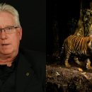 Steve Winter on Working With Big Cats