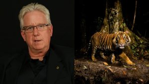 Steve Winter on Working With Big Cats