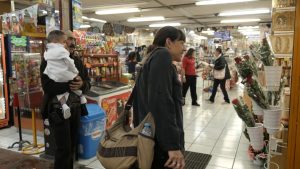 Adriana Zehbrauskas – Lessons in the Field