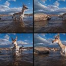 Joe Riis – LOOK3 2016 Artist Talk