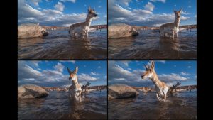 Joe Riis – LOOK3 2016 Artist Talk