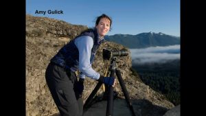 Helen Cherullo – We Are Not Alone | Collaborations for Cause 2017