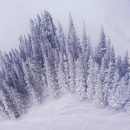 Olivia Bee – LOOK3 2016 Artist Talk